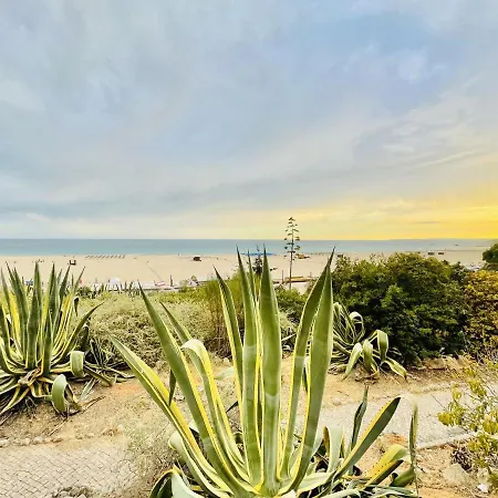 Caravela - Beach 200m - South Oriented Terrace Lejlighed